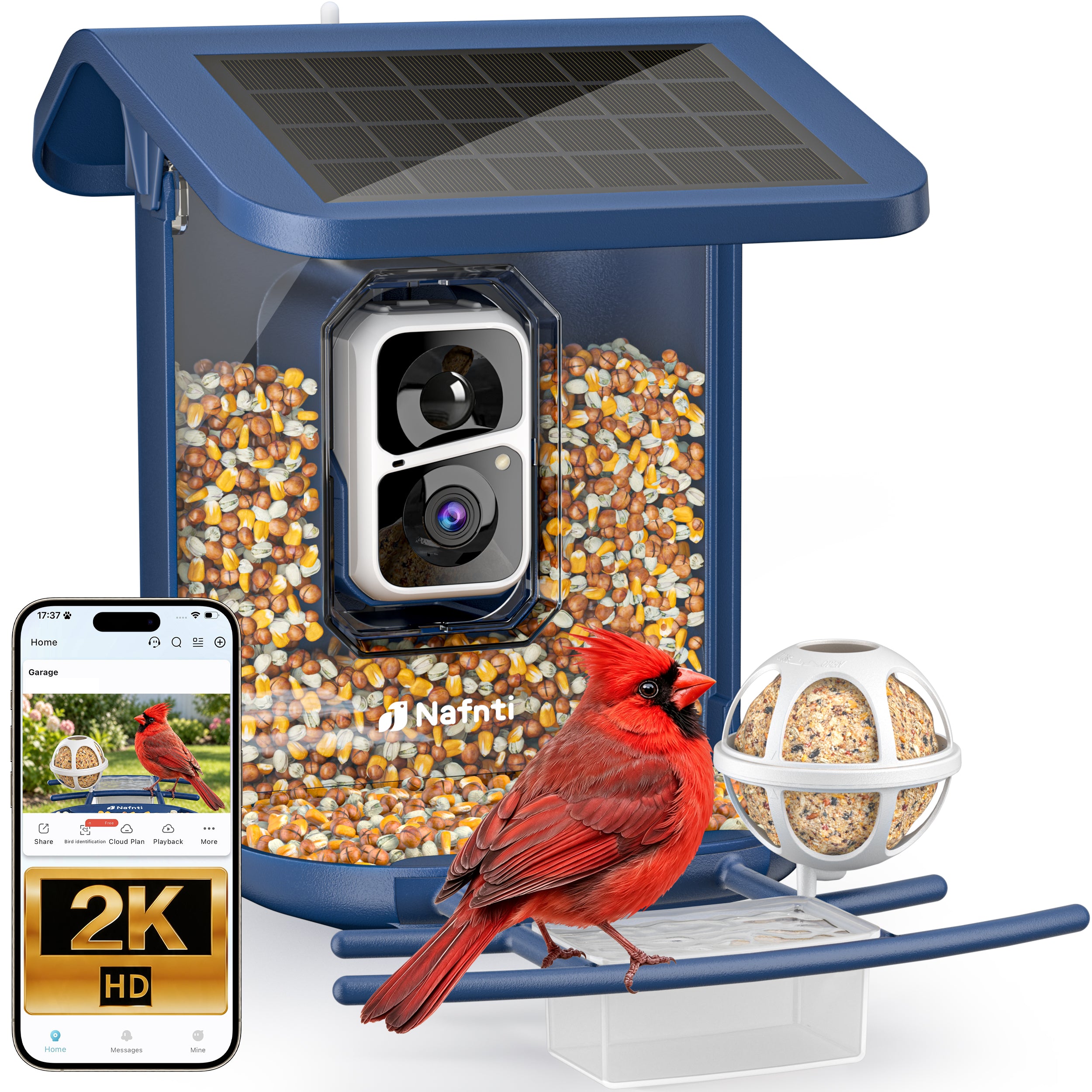 Nafnti Smart Bird Feeder with Camera, 2K Bird Feeder Outdoor with Solar Powered, Bird Camera with 10000+ AI Bird Identification, 5GHz/2.4GHz, IP65 Waterproof, Gift for Bird Lovers