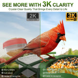 Nafnti Solar Bird Feeder with Camera, 5MP 3K HD Camera Bird Feeder, Ultra Wide 185° View, 2.5L Dual Hopper, Modular Easy Clean, 5200mAh Battery, 2.4GHz Wifi, AI Bird Identification, IP65 Weatherproof