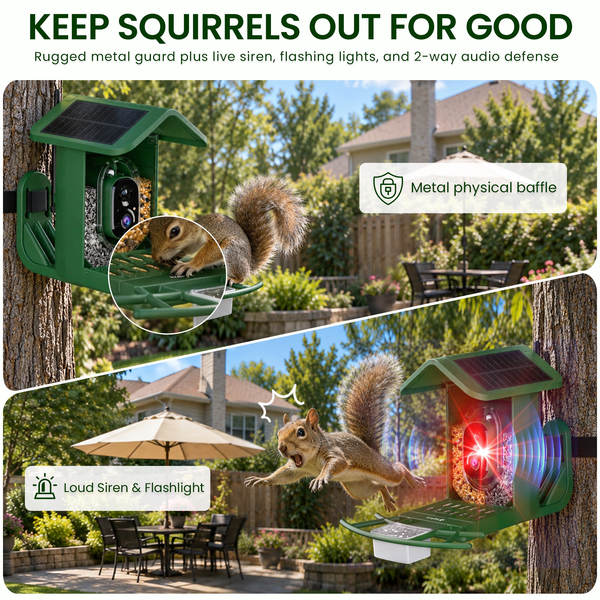 Nafnti 2K Bird Feeder with Camera, Lifetime Free AI Recognition, 10000+ AI Bird Identification, Camera Bird Feeder with Solar Powered, 5GHz/2.4GHz