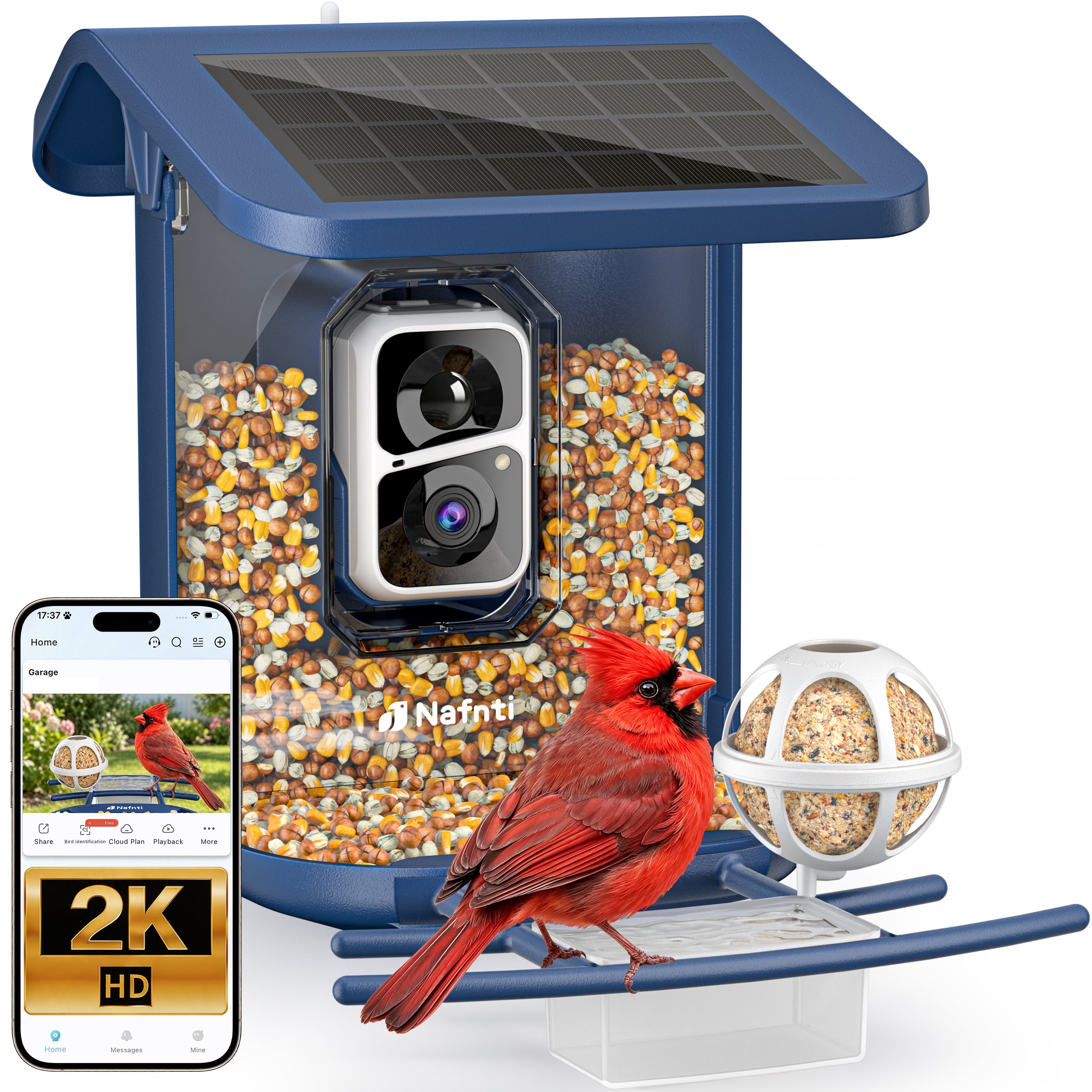 Nafnti Smart Bird Feeder with Camera, 2K Bird Feeder Outdoor with Solar Powered, Bird Camera with 10000+ AI Bird Identification, 5GHz/2.4GHz, IP65 Waterproof, Gift for Bird Lovers