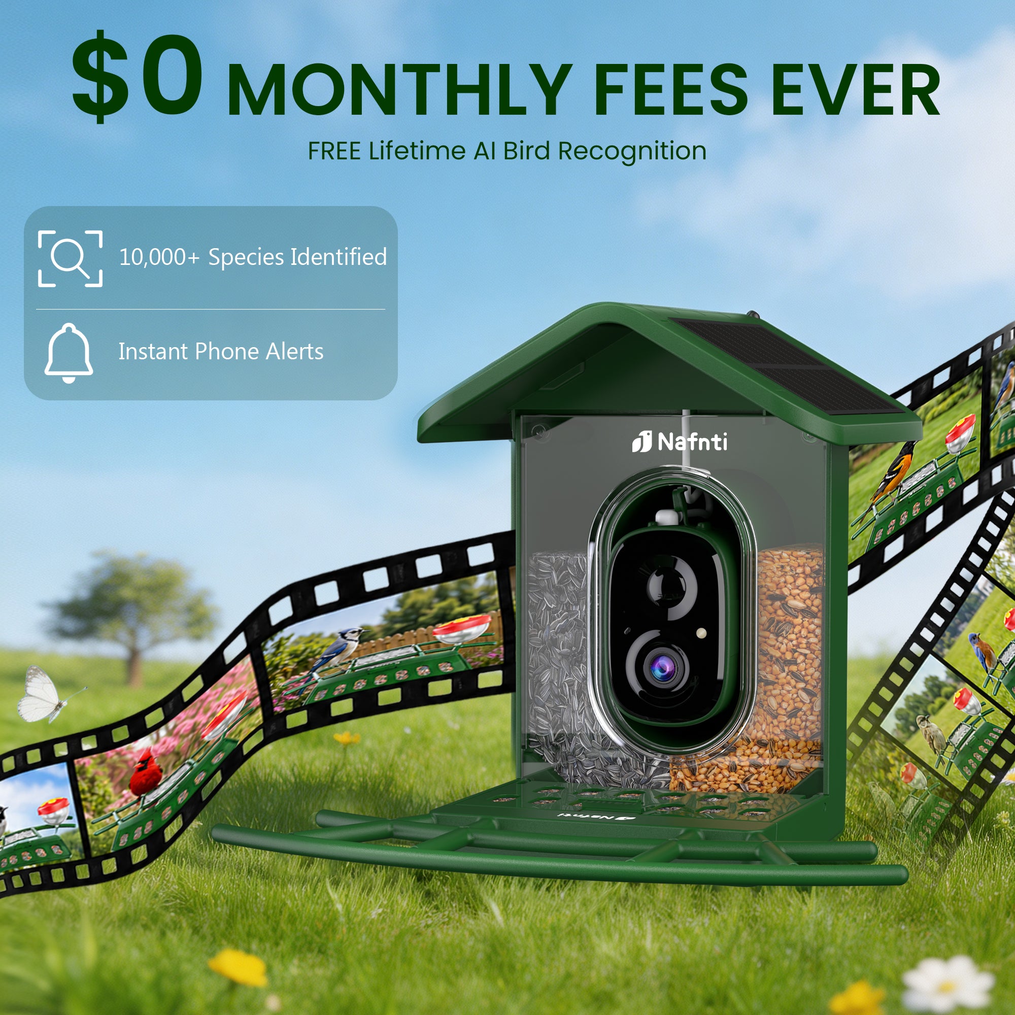 Nafnti 2K Bird Feeder with Camera, Lifetime Free AI Recognition, 10000+ AI Bird Identification, Camera Bird Feeder with Solar Powered, 5GHz/2.4GHz