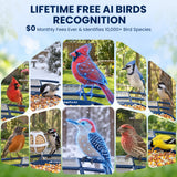 Nafnti Smart Bird Feeder with Camera, 2K Bird Feeder Outdoor with Solar Powered, Bird Camera with 10000+ AI Bird Identification, 5GHz/2.4GHz, IP65 Waterproof, Gift for Bird Lovers
