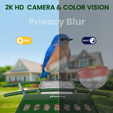 Nafnti 2K Bird Feeder with Camera, Lifetime Free AI Recognition, 10000+ AI Bird Identification, Camera Bird Feeder with Solar Powered, 5GHz/2.4GHz