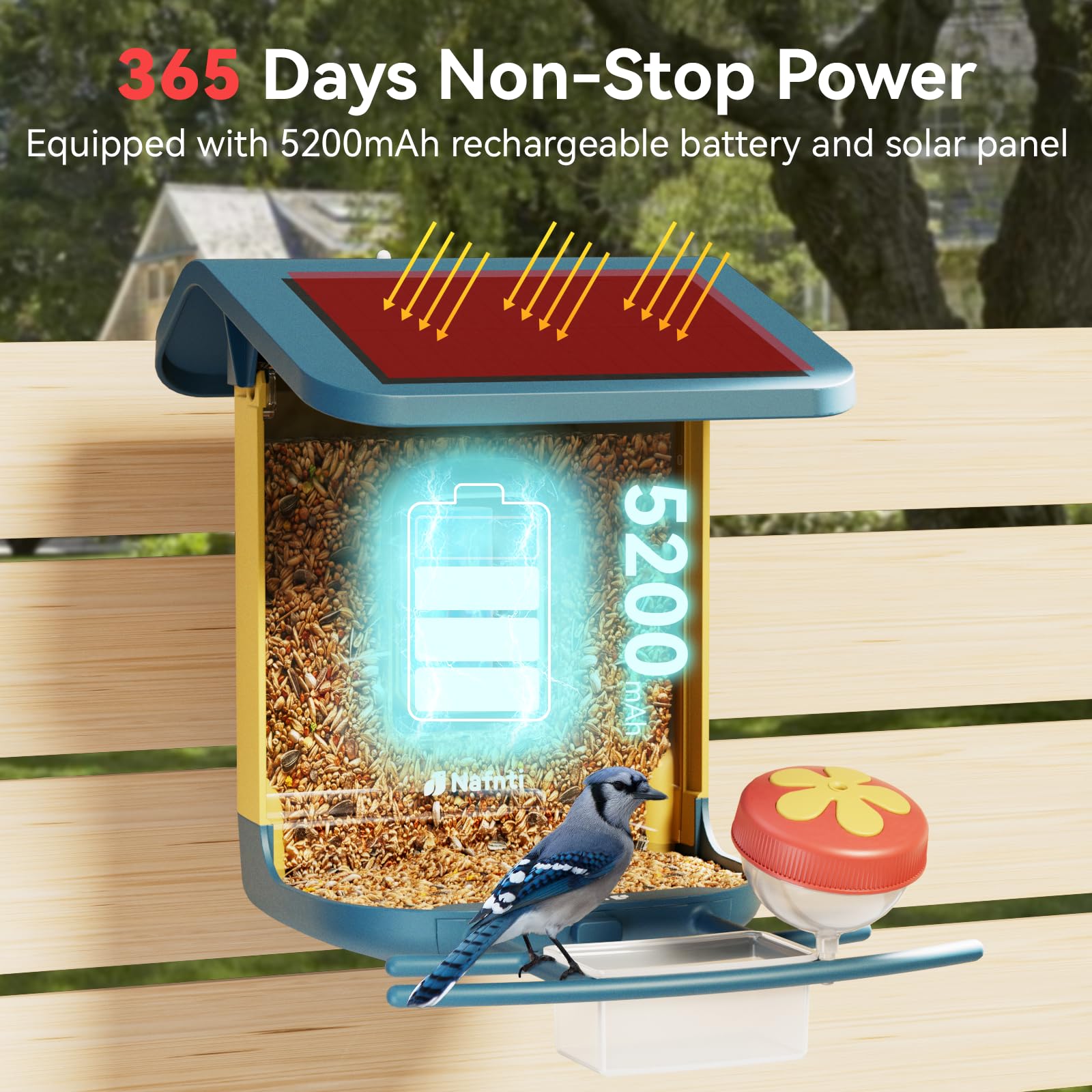 Smart bird feeder with 5200mAh rechargeable battery and solar panel providing 365 days of non-stop power for outdoor use.
