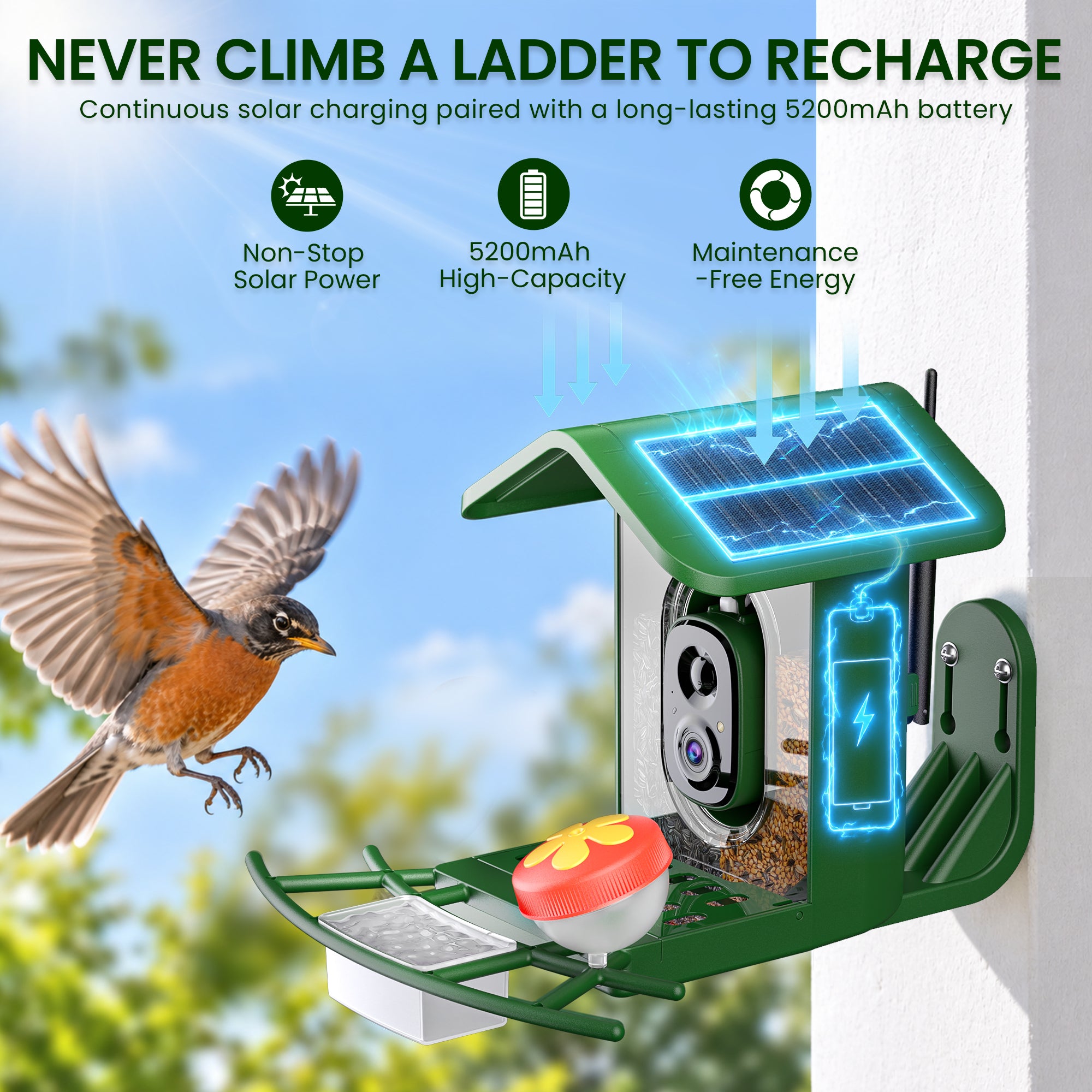 Nafnti 2K Bird Feeder with Camera, Lifetime Free AI Recognition, 10000+ AI Bird Identification, Camera Bird Feeder with Solar Powered, 5GHz/2.4GHz