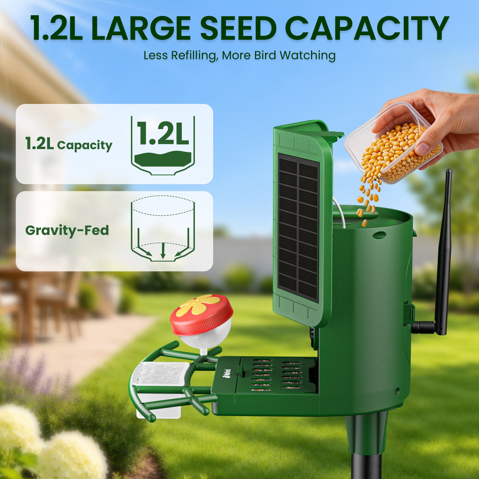 Nafnti 2K Bird Feeder with Camera, Lifetime Free AI Recognition, 10000+ AI Bird Identification, Camera Bird Feeder with Solar Powered, 5GHz/2.4GHz