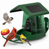 Nafnti Smart Bird Feeder with Camera, 4K HD Camera Bird Feeder, 10,000+ Species AI Bird Identification, 3W Solar Powered Roof, 2.4GHz WIFI, IP65 Waterproof, Gift for Bird Lovers