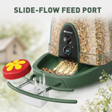 Nafnti Smart Bird Feeder with Camera, 4K HD Camera Bird Feeder, 10,000+ Species AI Bird Identification, 3W Solar Powered Roof, 2.4GHz WIFI, IP65 Waterproof, Gift for Bird Lovers