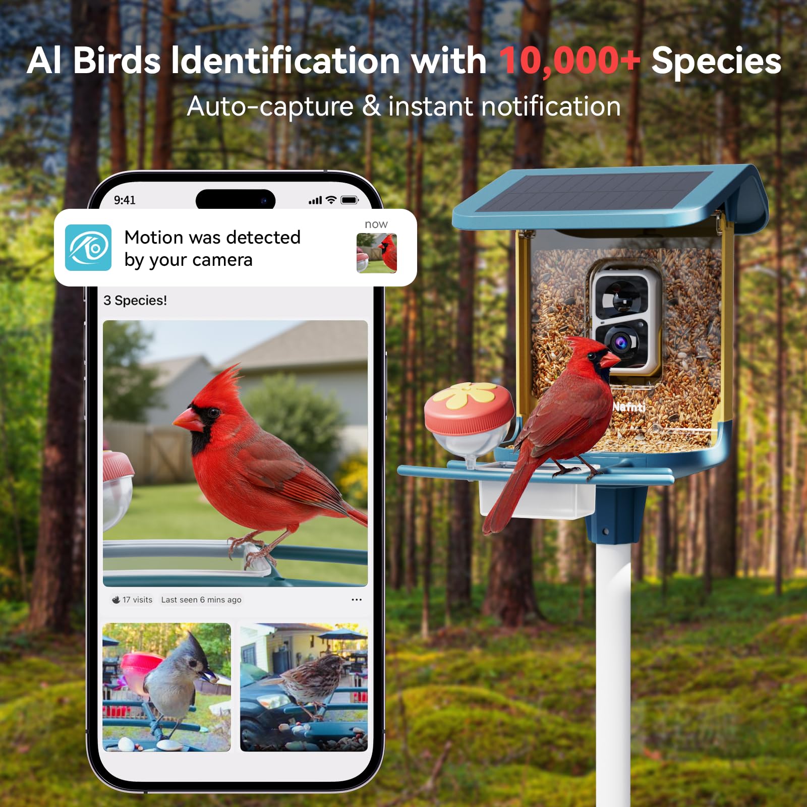 Smartphone app interface showing AI bird identification of over 10,000 species with instant motion detection notifications.