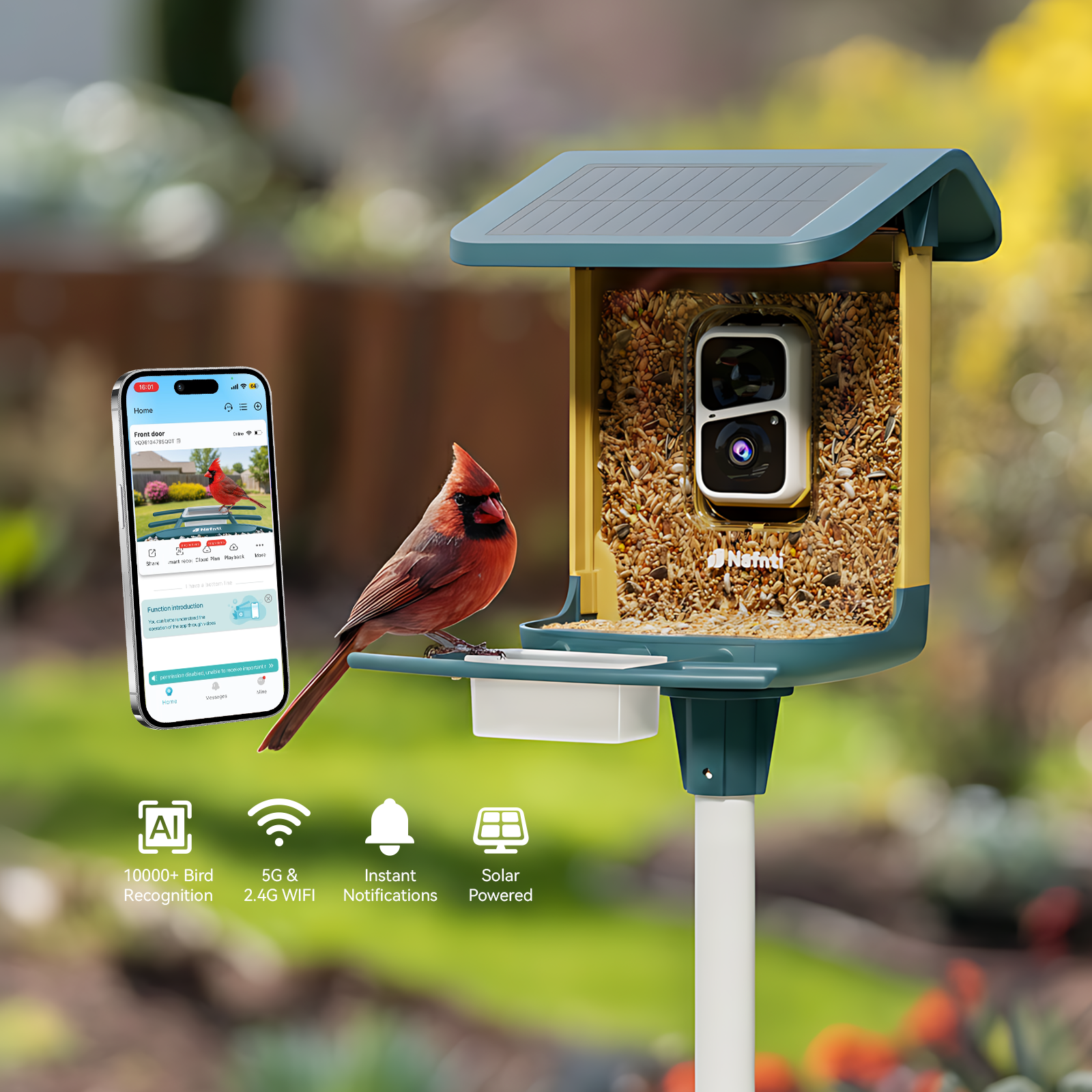 AI Smart Bird Feeder Camera - 2K HD & Solar Powered | Nafnti®