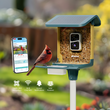 AI Smart Bird Feeder Camera - 2K HD & Solar Powered | Nafnti®