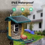 Close-up of a teal Nafnti smart bird feeder with water droplets during a heavy rain, showing IP65 waterproof rating.