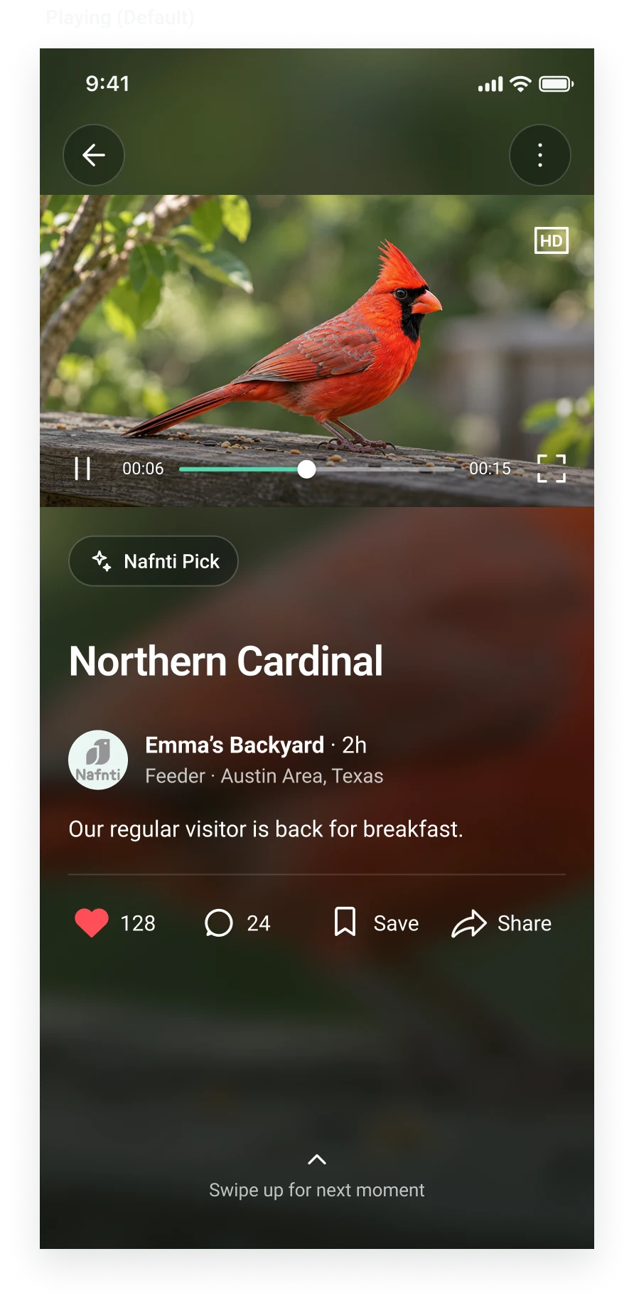 Bird moments App concept showing a Northern Cardinal